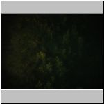 2008-07-05 - 00-43-18.JPG